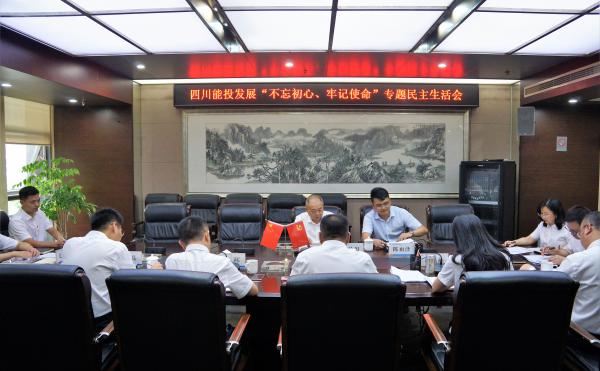 四川能投發(fā)展黨委召開“不忘初心、牢記使命”專...